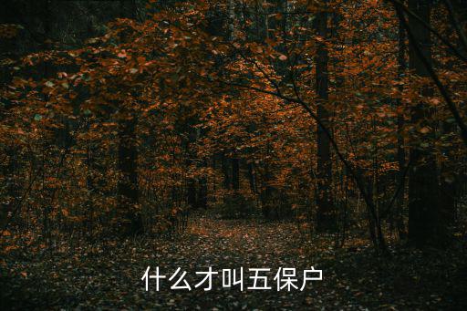 什么叫五保戶，五保戶是啥意思具體說說不要復(fù)制的謝謝