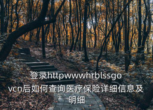 登錄httpwwwhrblssgovcn后如何查詢醫(yī)療保險詳細信息及明細