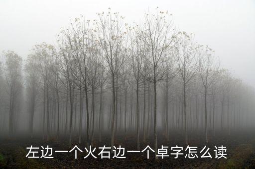 左邊一個火右邊一個卓字怎么讀