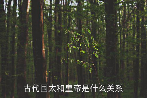 古代國太和皇帝是什么關系