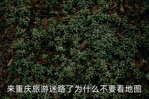來重慶旅游迷路了為什么不要看地圖
