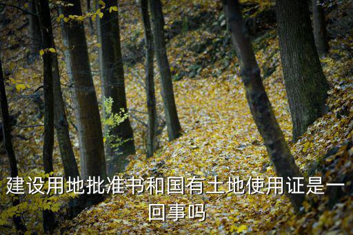 建設用地批準書，建設用地批準書和國有土地使用證是一回事嗎