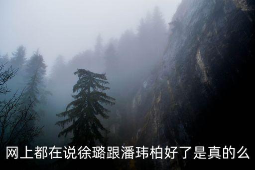 網上都在說徐璐跟潘瑋柏好了是真的么