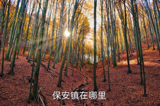保安鎮在哪里