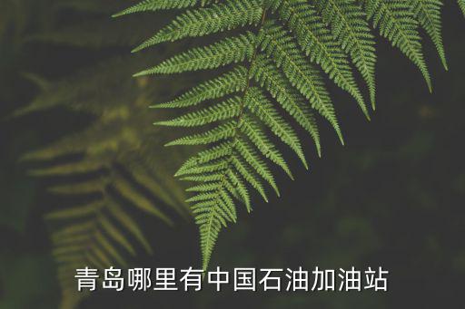 中國石油加油站，青島哪里有中國石油加油站