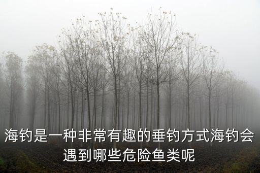 海釣是一種非常有趣的垂釣方式海釣會遇到哪些危險魚類呢