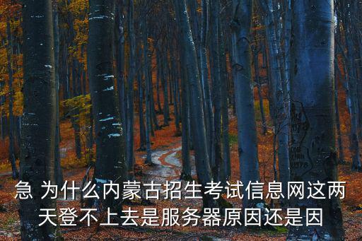 急 為什么內蒙古招生考試信息網這兩天登不上去是服務器原因還是因