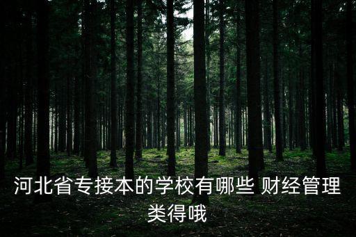 河北省專接本的學校有哪些 財經管理類得哦