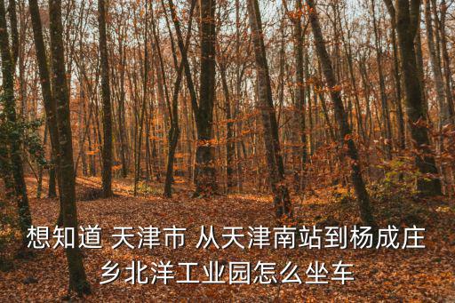 想知道 天津市 從天津南站到楊成莊鄉北洋工業園怎么坐車