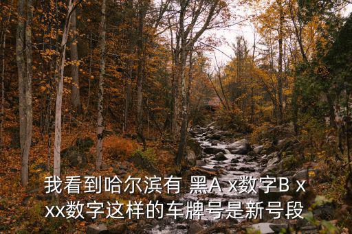 我看到哈爾濱有 黑A x數(shù)字B xxx數(shù)字這樣的車牌號是新號段