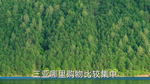 三亞哪里購物比較集中