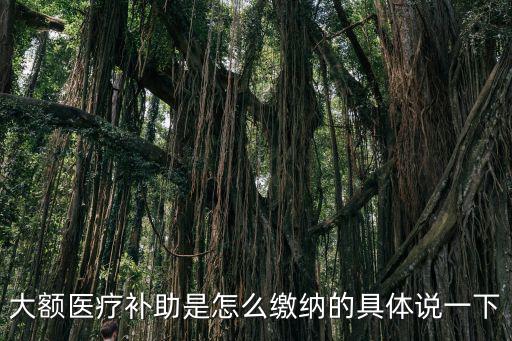 大額醫療補助是怎么繳納的具體說一下