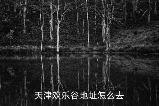 天津歡樂谷地址怎么去