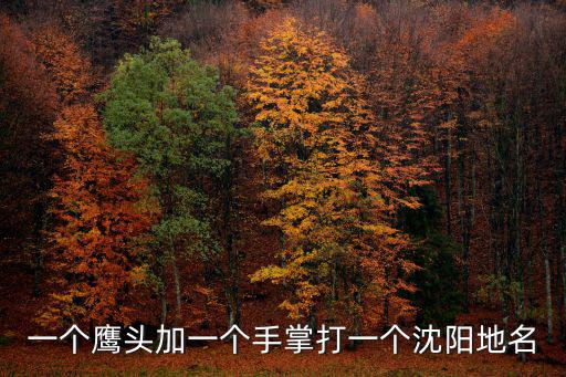 一個鷹頭加一個手掌打一個沈陽地名
