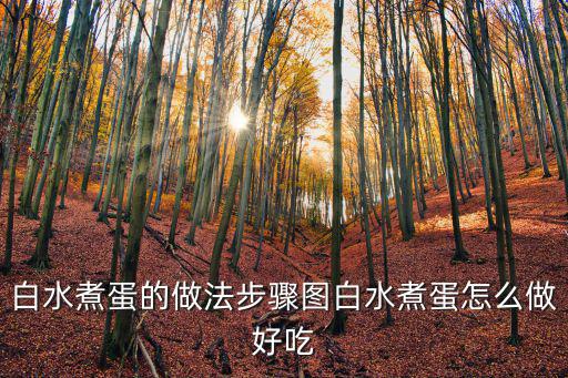 白煮蛋怎么煮，如何煮白煮蛋