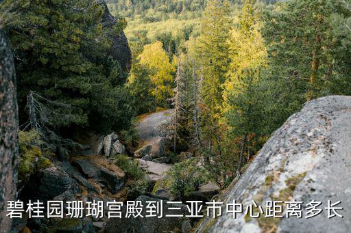 碧桂園珊瑚宮殿到三亞市中心距離多長