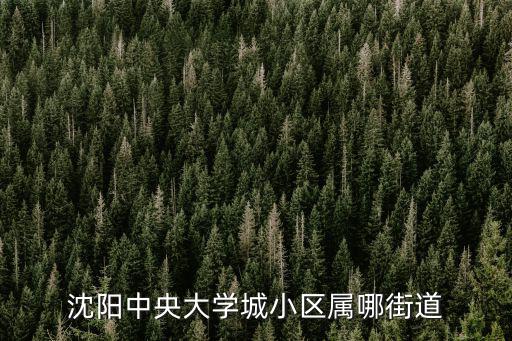 沈陽中央大學城小區屬哪街道