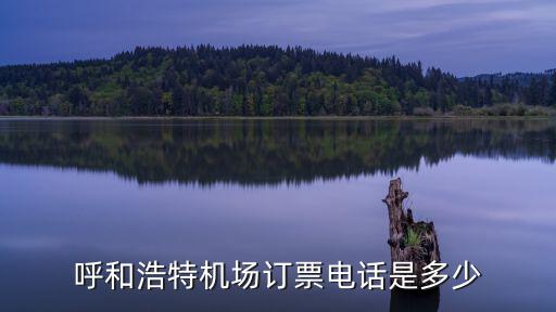 呼和浩特機(jī)場(chǎng)電話，呼和浩特機(jī)場(chǎng)訂票電話是多少
