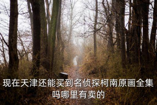 現(xiàn)在天津還能買到名偵探柯南原畫全集嗎哪里有賣的