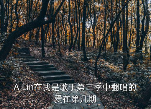 alin我是歌手，我是歌手中黃麗玲的經(jīng)紀(jì)人是誰