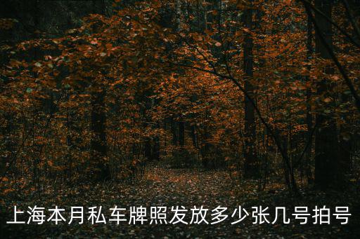 上海本月私車牌照發(fā)放多少張幾號(hào)拍號(hào)