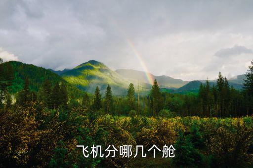 飛機(jī)公務(wù)艙，現(xiàn)在國內(nèi)哪些航班還有公務(wù)艙
