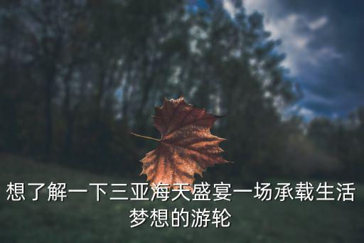 三亞海天盛宴，海天盛筵是干什么的