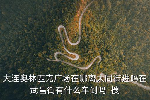 大連奧林匹克廣場在哪離大同街進嗎在武昌街有什么車到嗎  搜