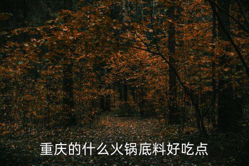 重慶的什么火鍋底料好吃點(diǎn)