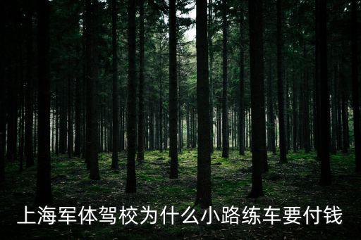 上海軍體駕校為什么小路練車要付錢