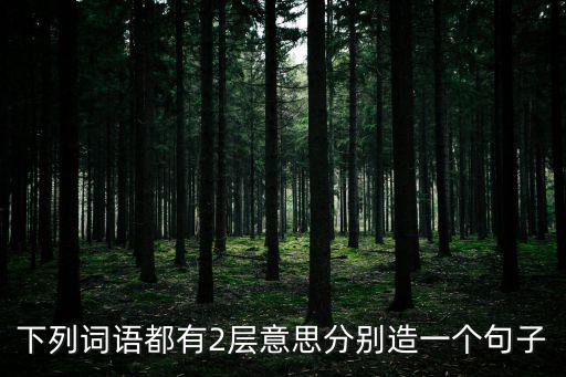 下列詞語都有2層意思分別造一個(gè)句子
