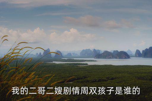 我的二哥二嫂周雙，我的二哥二嫂劇情周雙孩子是誰(shuí)的