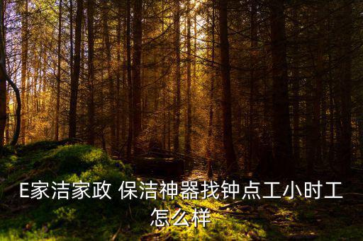 E家潔家政 保潔神器找鐘點工小時工怎么樣