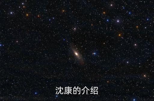沈康的介紹