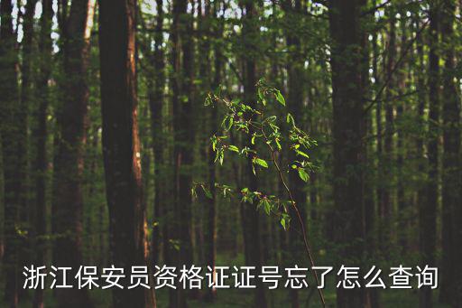浙江保安員資格證證號忘了怎么查詢