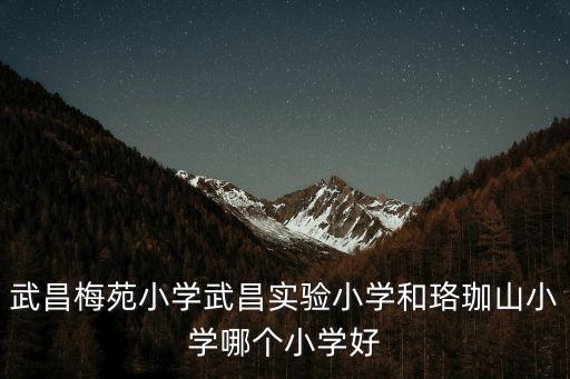 武昌梅苑小學(xué)武昌實(shí)驗(yàn)小學(xué)和珞珈山小學(xué)哪個小學(xué)好