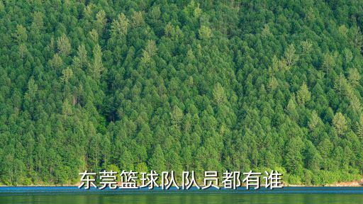 東莞籃球隊隊員都有誰