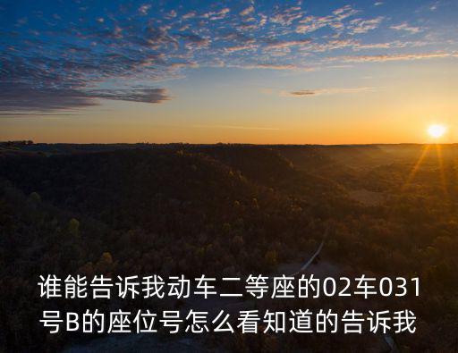 誰能告訴我動車二等座的02車031號B的座位號怎么看知道的告訴我