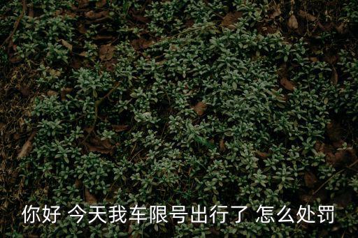 限號怎么處罰，限號哪天出行怎么罰款