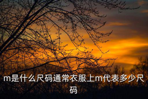 m是什么尺碼通常衣服上m代表多少尺碼