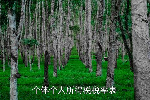 個體個人所得稅稅率表