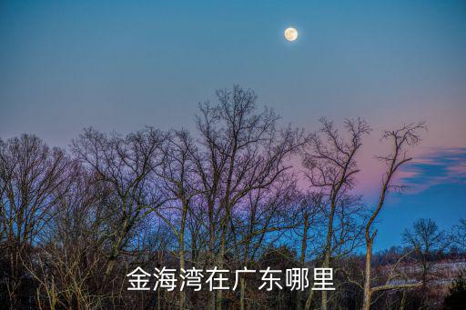 金海灣公園，金海灣在廣東哪里