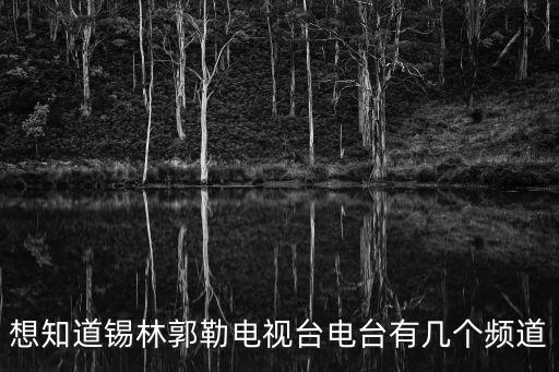 想知道錫林郭勒電視臺(tái)電臺(tái)有幾個(gè)頻道