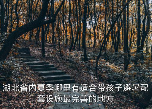 湖北省內夏季哪里有適合帶孩子避暑配套設施最完善的地方
