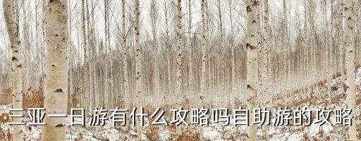 三亞一日游有什么攻略嗎自助游的攻略