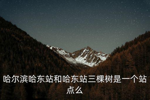 哈東站，哈東站到哈站坐地鐵怎么走