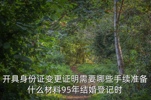 開具身份證變更證明需要哪些手續準備什么材料95年結婚登記時