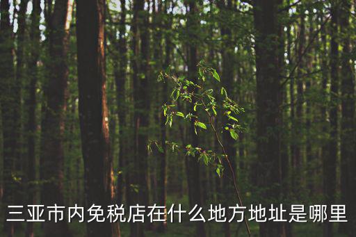 三亞免稅店在哪里，三亞市內(nèi)免稅店在什么地方地址是哪里