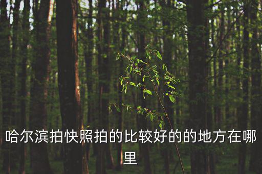 哈爾濱拍快照拍的比較好的的地方在哪里