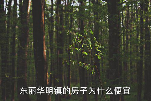 東麗華明鎮的房子為什么便宜